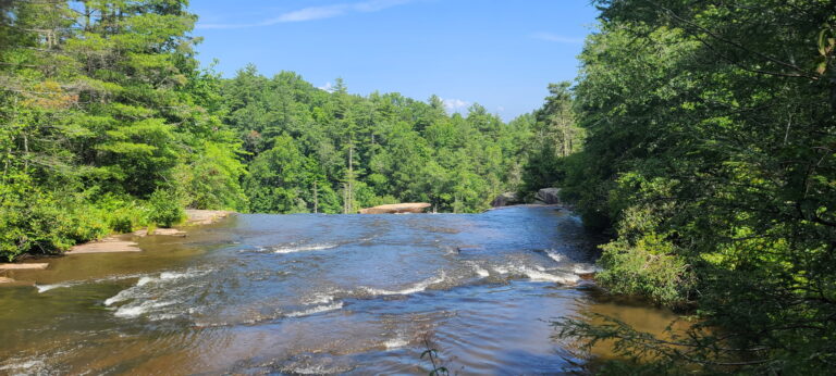 Welcome to Noble Creek Path: What “Healing is a Path” Means to Me.